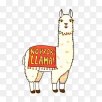 ���� ���� ��ֽ-������