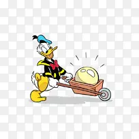 ��ɫ ���� ����-������