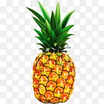 ���� ʳƷ ��ȻʳƷ-������