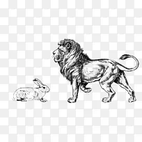 狮子 绘画 狗-空若网 狮子 绘画 狗-空若网