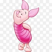 ��ɫ ���� ����-������