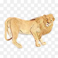 狮子 猫 动物-空若网 狮子 猫 动物-空若网