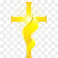 博客 黄色-空若网 博客 黄色-空若网