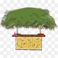 树 棕榈树 羽毛-空若网 树 棕榈树 羽毛-空若网
