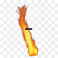 ���� ��� ��ɫ-������