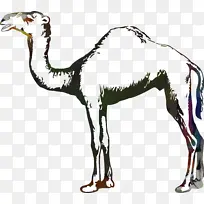 �������� �� Ұ������-������