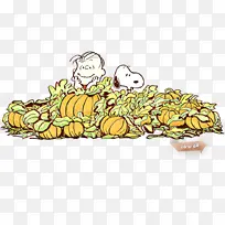 À¥³æ ÈËÎï ÉÌÆ·-¿ÕÈôÍø À¥³æ ÈËÎï ÉÌÆ·-¿ÕÈôÍø