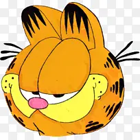 奥迪 加菲猫 乔恩阿尔布克尔-空若网 奥迪 加菲猫 乔恩阿尔布克尔-空若网