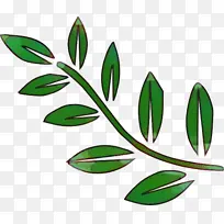 树枝 树 叶子-空若网 树枝 树 叶子-空若网