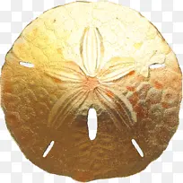 美元 金币 硬币-空若网 美元 金币 硬币-空若网