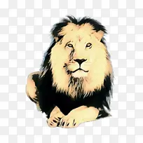 猫 毛皮 鼻子-空若网 猫 毛皮 鼻子-空若网