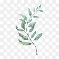 水彩画 绘画 素描-空若网 水彩画 绘画 素描-空若网