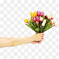 ����-������