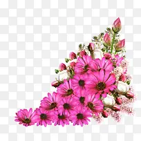 花卉设计 生日-空若网 花卉设计 生日-空若网