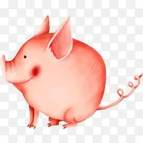 老鼠 动物 博客-空若网 老鼠 动物 博客-空若网