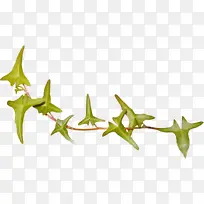 Ò¶×Ó »æ» Ë®²Ê»-¿ÕÈôÍø Ò¶×Ó »æ» Ë®²Ê»-¿ÕÈôÍø