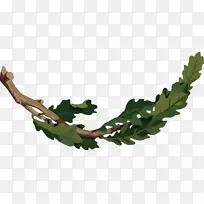 栓皮栎沼泽,西班牙橡木,白橡树枝,叶枝-空若网 栓皮栎沼泽,西班牙橡木,白橡树枝,叶枝-空若网