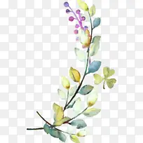 花瓣 植物茎 花卉设计-空若网 花瓣 植物茎 花卉设计-空若网