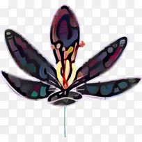 蝴蝶 昆虫 开花山茱萸-空若网 蝴蝶 昆虫 开花山茱萸-空若网