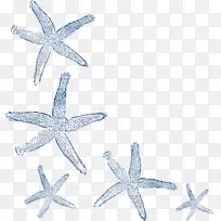 海星 钴蓝 身体珠宝-空若网 海星 钴蓝 身体珠宝-空若网