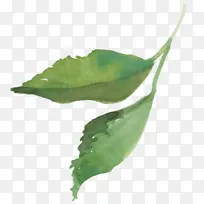 Ҷ�� ˮ�ʻ� �ͻ�-������