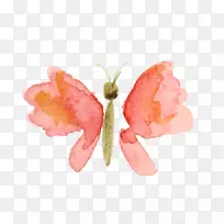 ºûµûË®²Ê»Æ½ÃæÉè¼Æ¼ôÌù»Ë®²Ê»ºûµû-¿ÕÈôÍø ºûµûË®²Ê»Æ½ÃæÉè¼Æ¼ôÌù»Ë®²Ê»ºûµû-¿ÕÈôÍø