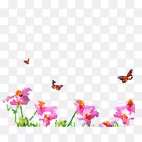 水彩画.水彩画蝴蝶-空若网 水彩画.水彩画蝴蝶-空若网