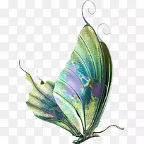 蝴蝶昆虫-水彩画蝴蝶-空若网 蝴蝶昆虫-水彩画蝴蝶-空若网