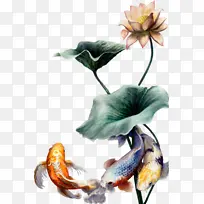 水彩画 花卉 绘画-空若网 水彩画 花卉 绘画-空若网