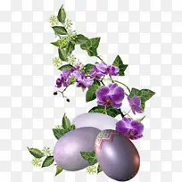 博客 复活节-空若网 博客 复活节-空若网