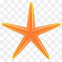 ���� ����-������