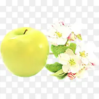 食品 史密斯奶奶 静物摄影-空若网 食品 史密斯奶奶 静物摄影-空若网