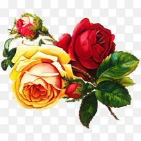 ÉúÈÕ-¿ÕÈôÍø ÉúÈÕ-¿ÕÈôÍø