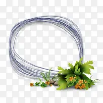 相框 恐龙 博客-空若网 相框 恐龙 博客-空若网