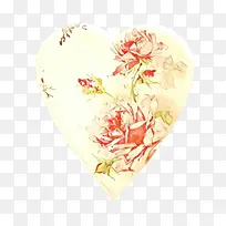 �� ֲ�� ��-������