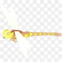 昆虫 蝴蝶 黄色-空若网 昆虫 蝴蝶 黄色-空若网