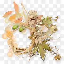 ������� ���� ����-������