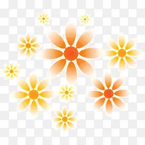 花朵 橙色 黄色-空若网 花朵 橙色 黄色-空若网