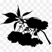 树枝 植物茎 花-空若网 树枝 植物茎 花-空若网