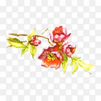 花卉设计 切花 花朵-空若网 花卉设计 切花 花朵-空若网