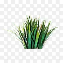 甜草 植物性饮食 地板-空若网 甜草 植物性饮食 地板-空若网