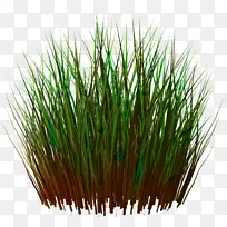 ����� ��ƺ ����-������