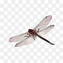 òßòÑ À¥³æ »æ»-¿ÕÈôÍø òßòÑ À¥³æ »æ»-¿ÕÈôÍø