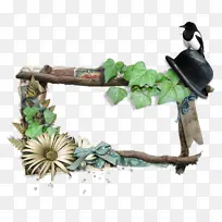 ���� ���� ���-������