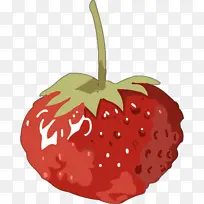 ��ݮ ����ˮ�� ʳƷ-������