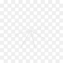 �ԳƽǺڹ���-������