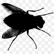 昆虫 传粉者 剪影-空若网 昆虫 传粉者 剪影-空若网