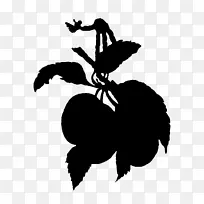 昆虫 剪影 花-空若网 昆虫 剪影 花-空若网