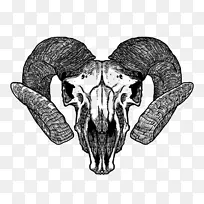 ɽ�򻭰��Ϲ�������-Ħ����-������