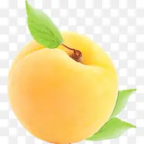 ʳƷ ����ʳƷ ��ȻʳƷ-������